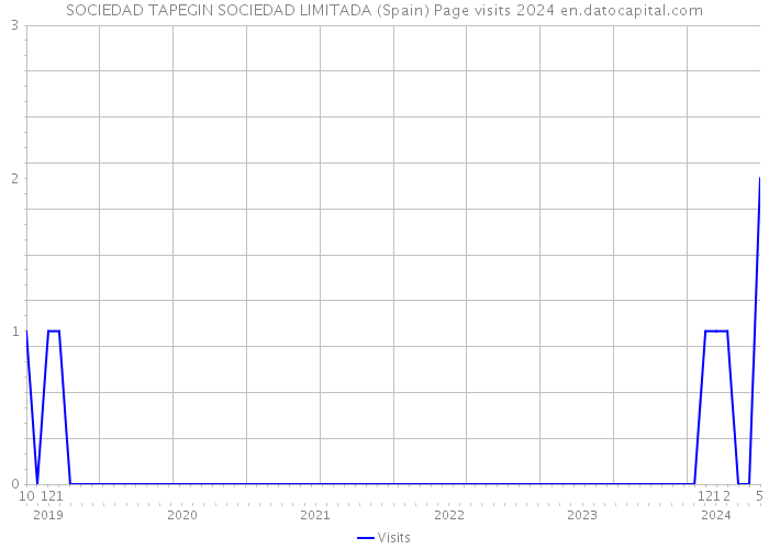 SOCIEDAD TAPEGIN SOCIEDAD LIMITADA (Spain) Page visits 2024 