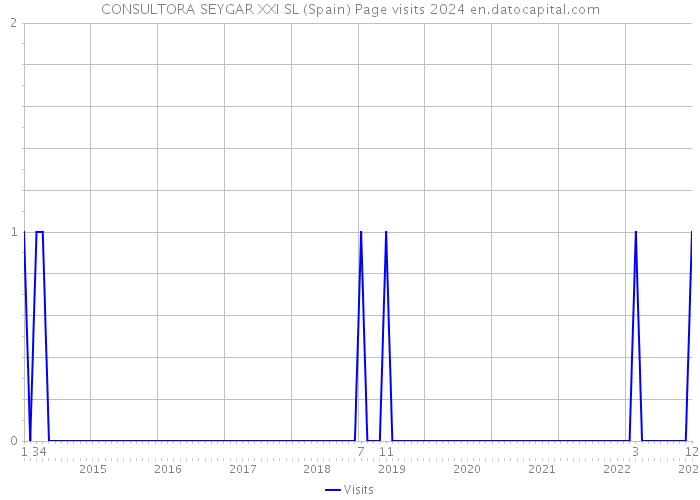 CONSULTORA SEYGAR XXI SL (Spain) Page visits 2024 