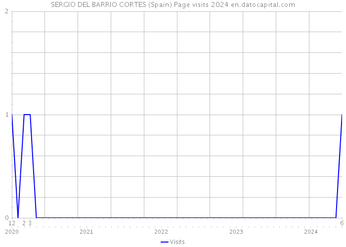 SERGIO DEL BARRIO CORTES (Spain) Page visits 2024 