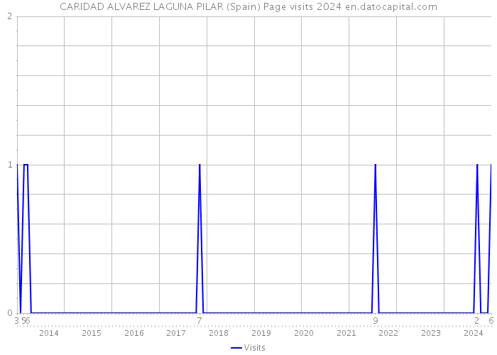 CARIDAD ALVAREZ LAGUNA PILAR (Spain) Page visits 2024 