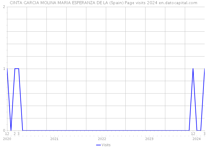 CINTA GARCIA MOLINA MARIA ESPERANZA DE LA (Spain) Page visits 2024 