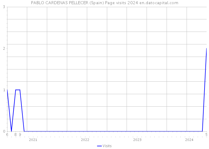 PABLO CARDENAS PELLECER (Spain) Page visits 2024 