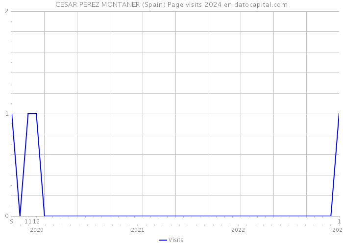 CESAR PEREZ MONTANER (Spain) Page visits 2024 