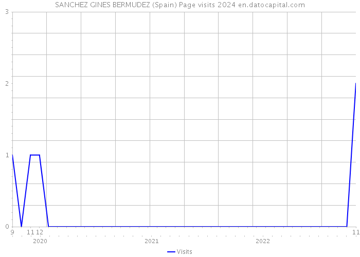 SANCHEZ GINES BERMUDEZ (Spain) Page visits 2024 