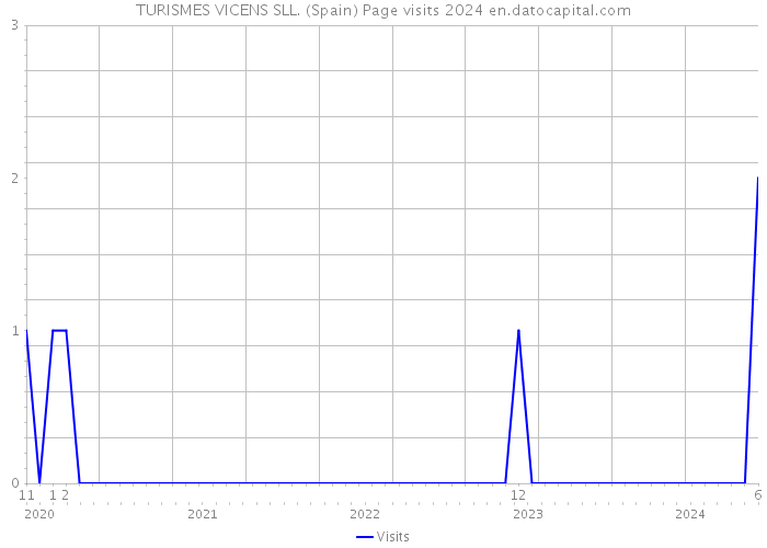 TURISMES VICENS SLL. (Spain) Page visits 2024 