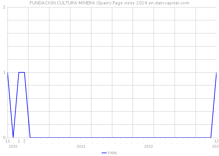 FUNDACION CULTURA MINERA (Spain) Page visits 2024 