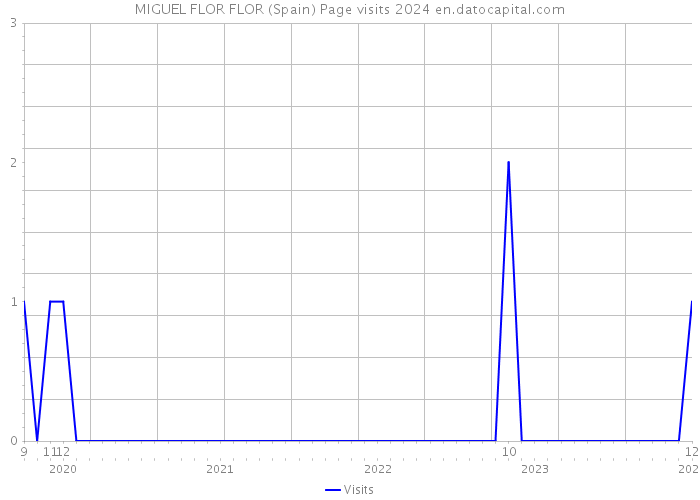 MIGUEL FLOR FLOR (Spain) Page visits 2024 