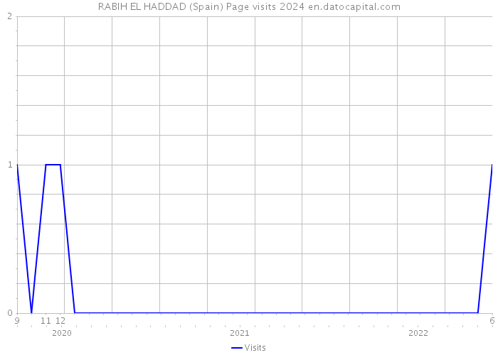 RABIH EL HADDAD (Spain) Page visits 2024 