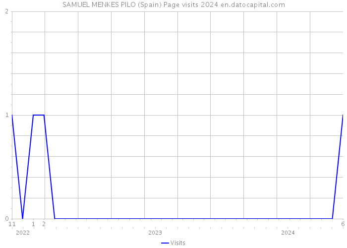 SAMUEL MENKES PILO (Spain) Page visits 2024 