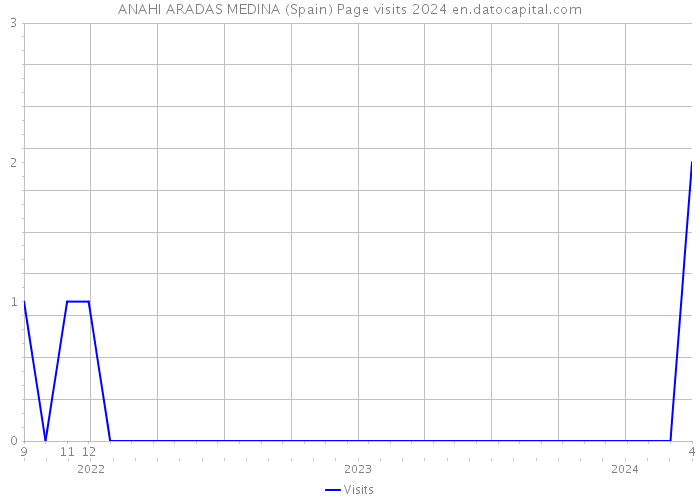 ANAHI ARADAS MEDINA (Spain) Page visits 2024 