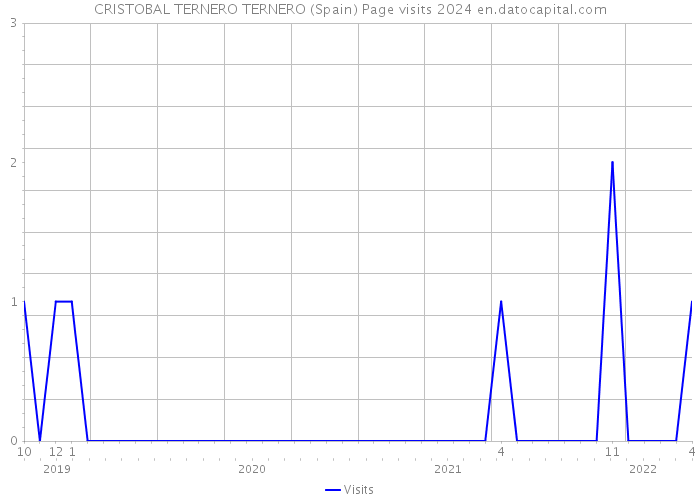 CRISTOBAL TERNERO TERNERO (Spain) Page visits 2024 