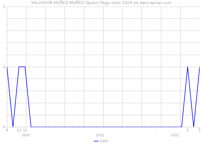 SALVADOR MUÑOZ MUÑOZ (Spain) Page visits 2024 