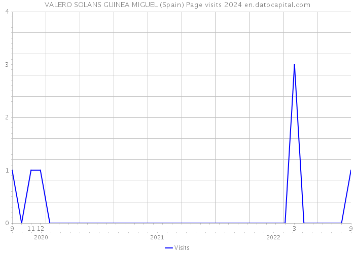 VALERO SOLANS GUINEA MIGUEL (Spain) Page visits 2024 