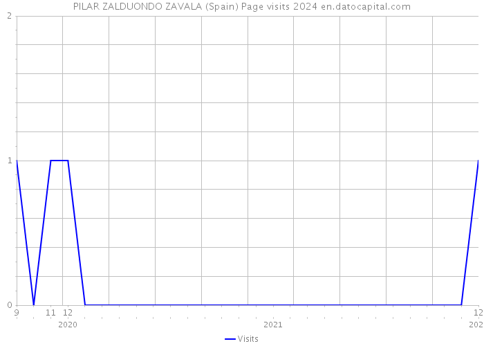 PILAR ZALDUONDO ZAVALA (Spain) Page visits 2024 