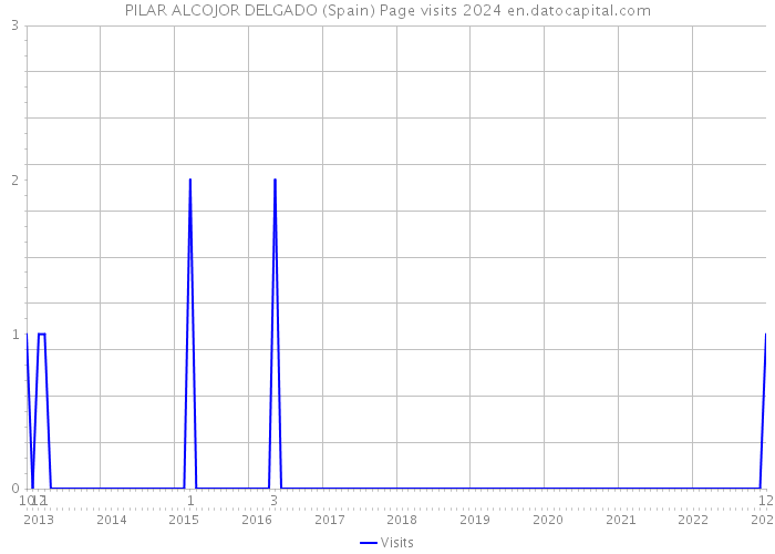 PILAR ALCOJOR DELGADO (Spain) Page visits 2024 