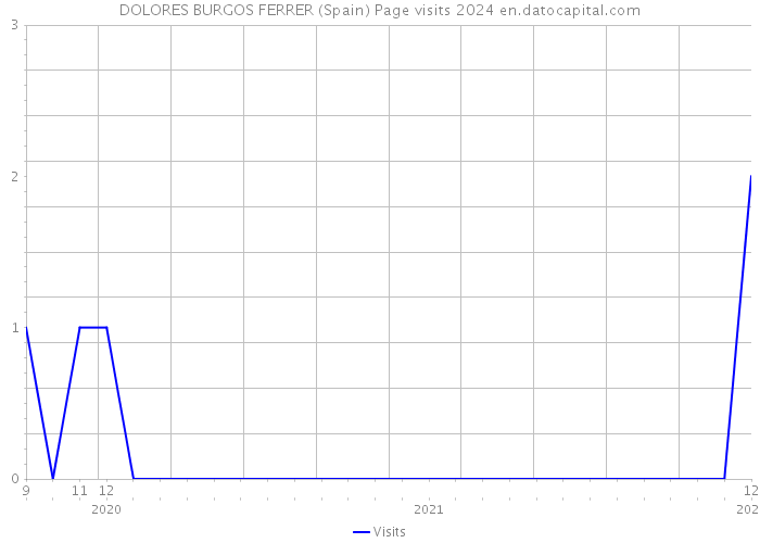 DOLORES BURGOS FERRER (Spain) Page visits 2024 