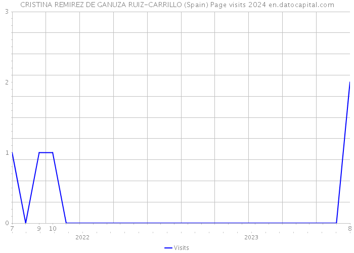 CRISTINA REMIREZ DE GANUZA RUIZ-CARRILLO (Spain) Page visits 2024 