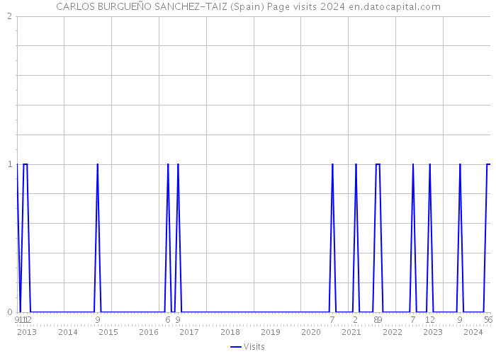 CARLOS BURGUEÑO SANCHEZ-TAIZ (Spain) Page visits 2024 