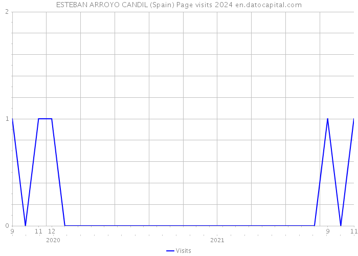 ESTEBAN ARROYO CANDIL (Spain) Page visits 2024 