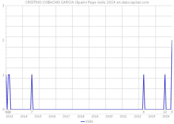 CRISTINO COBACHO GARCIA (Spain) Page visits 2024 