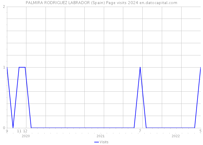 PALMIRA RODRIGUEZ LABRADOR (Spain) Page visits 2024 