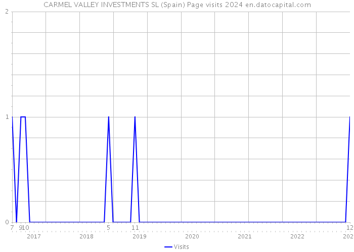 CARMEL VALLEY INVESTMENTS SL (Spain) Page visits 2024 