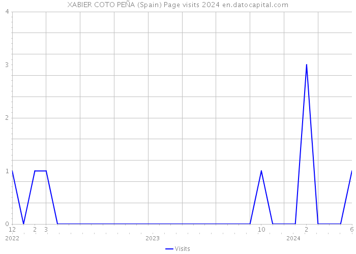 XABIER COTO PEÑA (Spain) Page visits 2024 