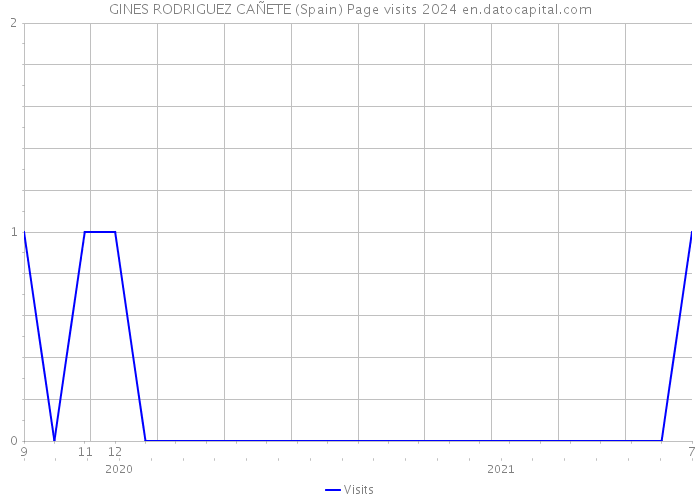 GINES RODRIGUEZ CAÑETE (Spain) Page visits 2024 