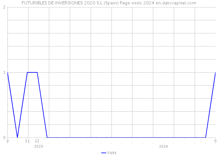 FUTURIBLES DE INVERSIONES 2020 S.L (Spain) Page visits 2024 