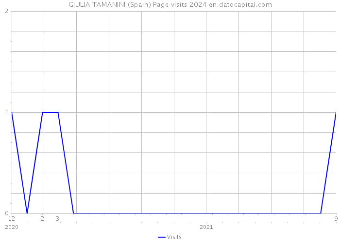 GIULIA TAMANINI (Spain) Page visits 2024 