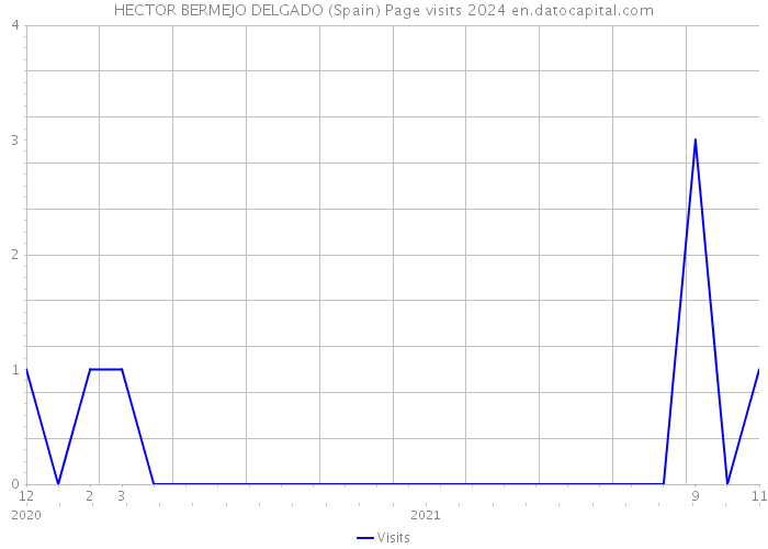 HECTOR BERMEJO DELGADO (Spain) Page visits 2024 