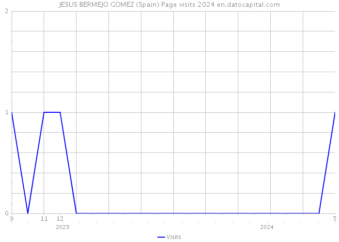 JESUS BERMEJO GOMEZ (Spain) Page visits 2024 