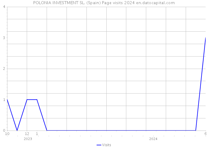 POLONIA INVESTMENT SL. (Spain) Page visits 2024 