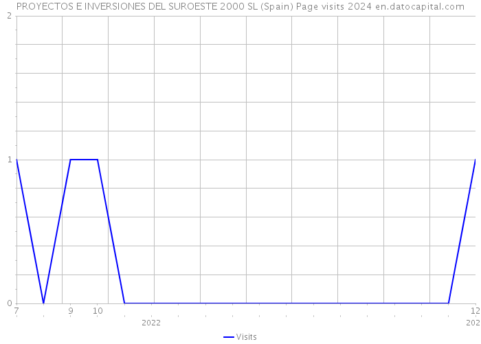 PROYECTOS E INVERSIONES DEL SUROESTE 2000 SL (Spain) Page visits 2024 