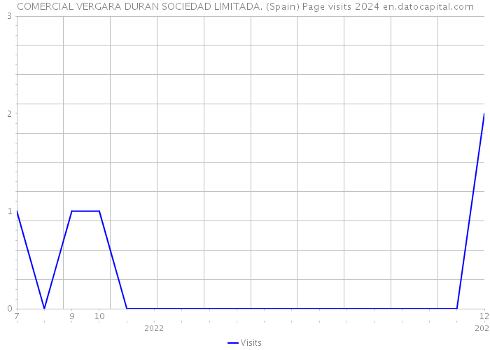 COMERCIAL VERGARA DURAN SOCIEDAD LIMITADA. (Spain) Page visits 2024 