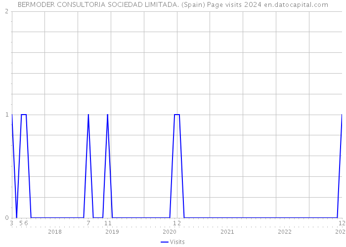 BERMODER CONSULTORIA SOCIEDAD LIMITADA. (Spain) Page visits 2024 
