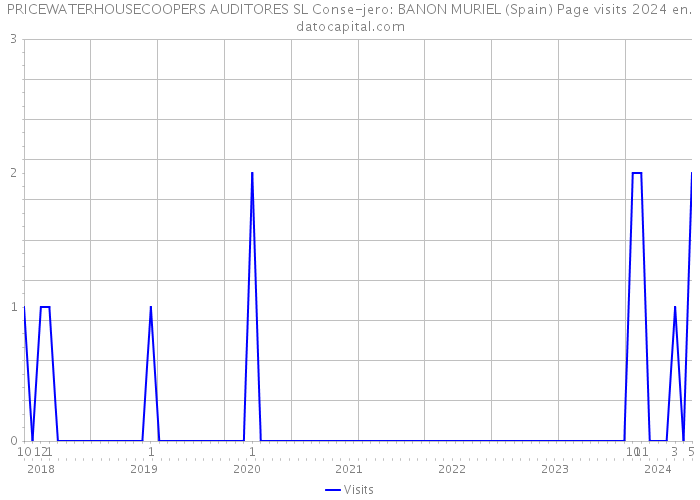 PRICEWATERHOUSECOOPERS AUDITORES SL Conse-jero: BANON MURIEL (Spain) Page visits 2024 