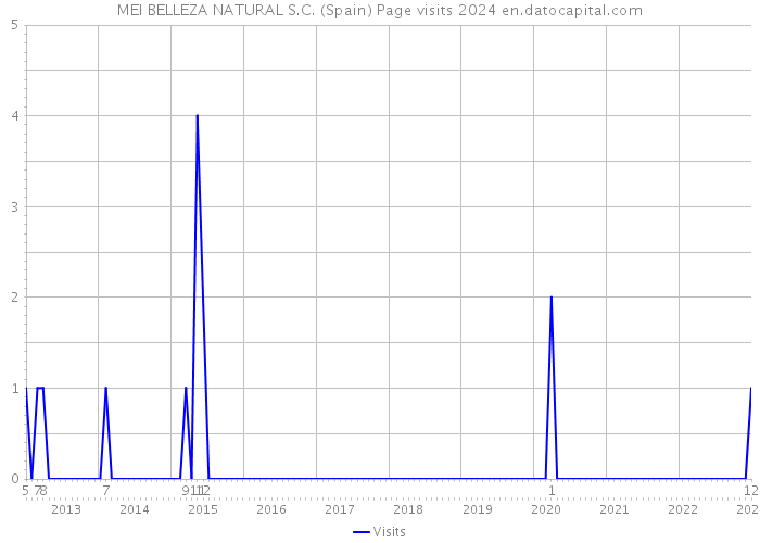 MEI BELLEZA NATURAL S.C. (Spain) Page visits 2024 