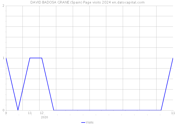DAVID BADOSA GRANE (Spain) Page visits 2024 