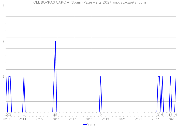 JOEL BORRAS GARCIA (Spain) Page visits 2024 