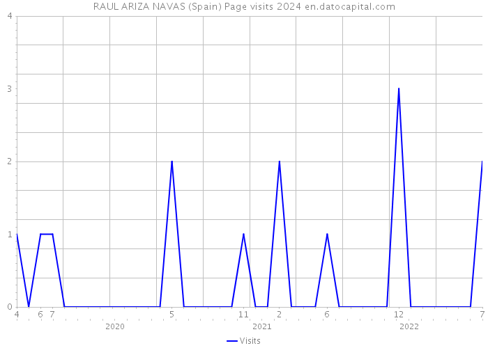 RAUL ARIZA NAVAS (Spain) Page visits 2024 