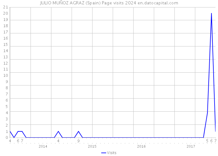 JULIO MUÑOZ AGRAZ (Spain) Page visits 2024 