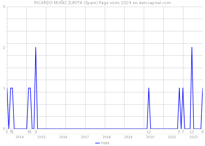 RICARDO MUÑIZ ZURITA (Spain) Page visits 2024 