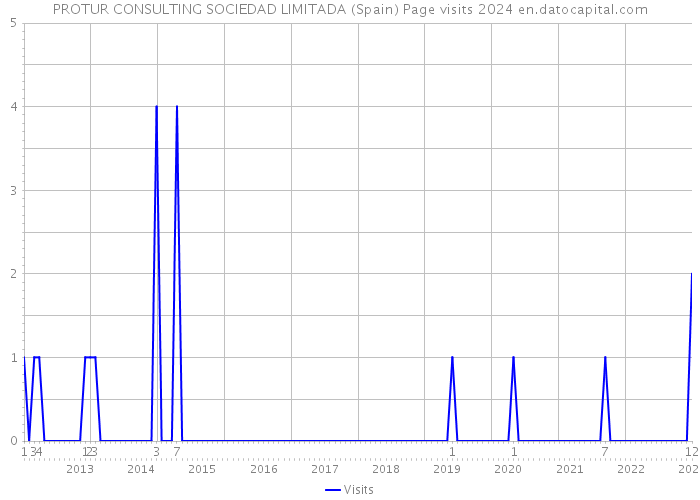 PROTUR CONSULTING SOCIEDAD LIMITADA (Spain) Page visits 2024 