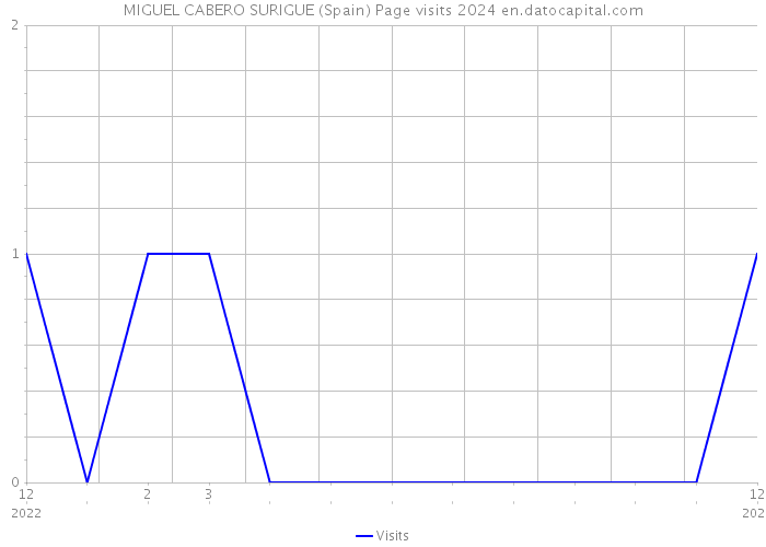 MIGUEL CABERO SURIGUE (Spain) Page visits 2024 