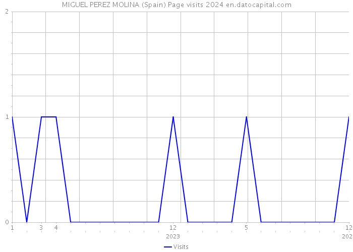 MIGUEL PEREZ MOLINA (Spain) Page visits 2024 