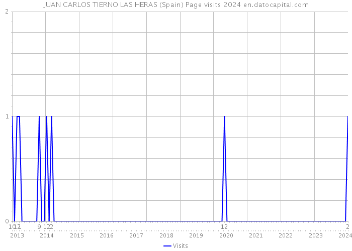 JUAN CARLOS TIERNO LAS HERAS (Spain) Page visits 2024 