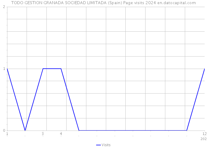 TODO GESTION GRANADA SOCIEDAD LIMITADA (Spain) Page visits 2024 