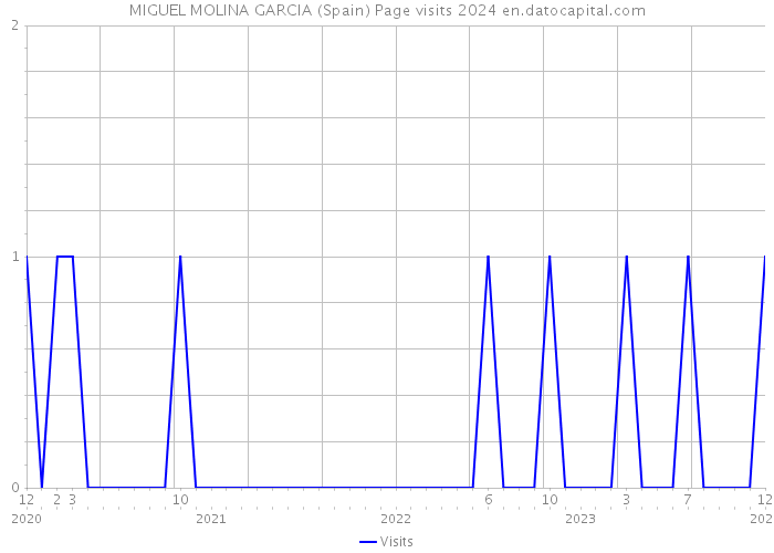 MIGUEL MOLINA GARCIA (Spain) Page visits 2024 