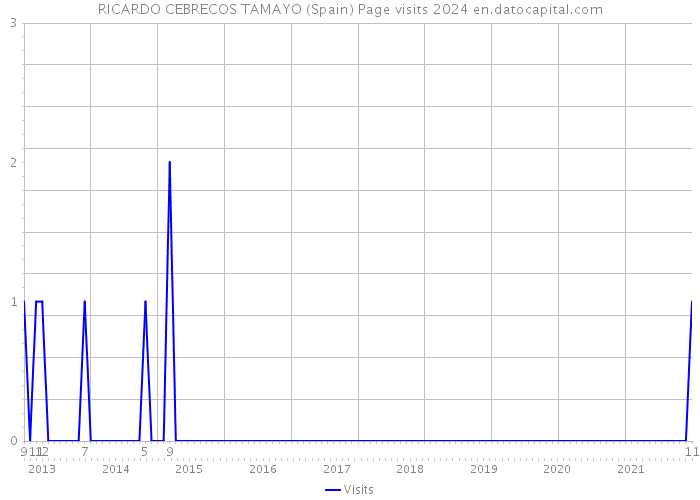 RICARDO CEBRECOS TAMAYO (Spain) Page visits 2024 